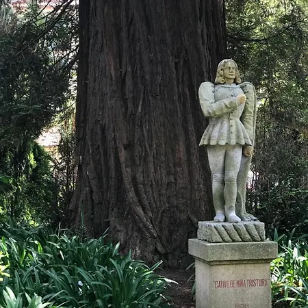 Centro P3 By Urent Apartment Padron